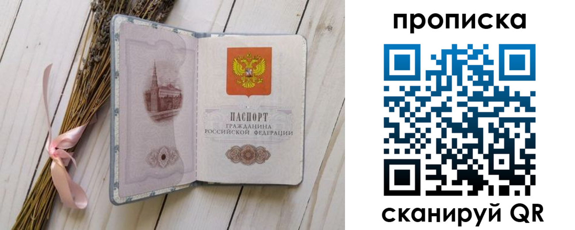 прописка для работы в Светлограде