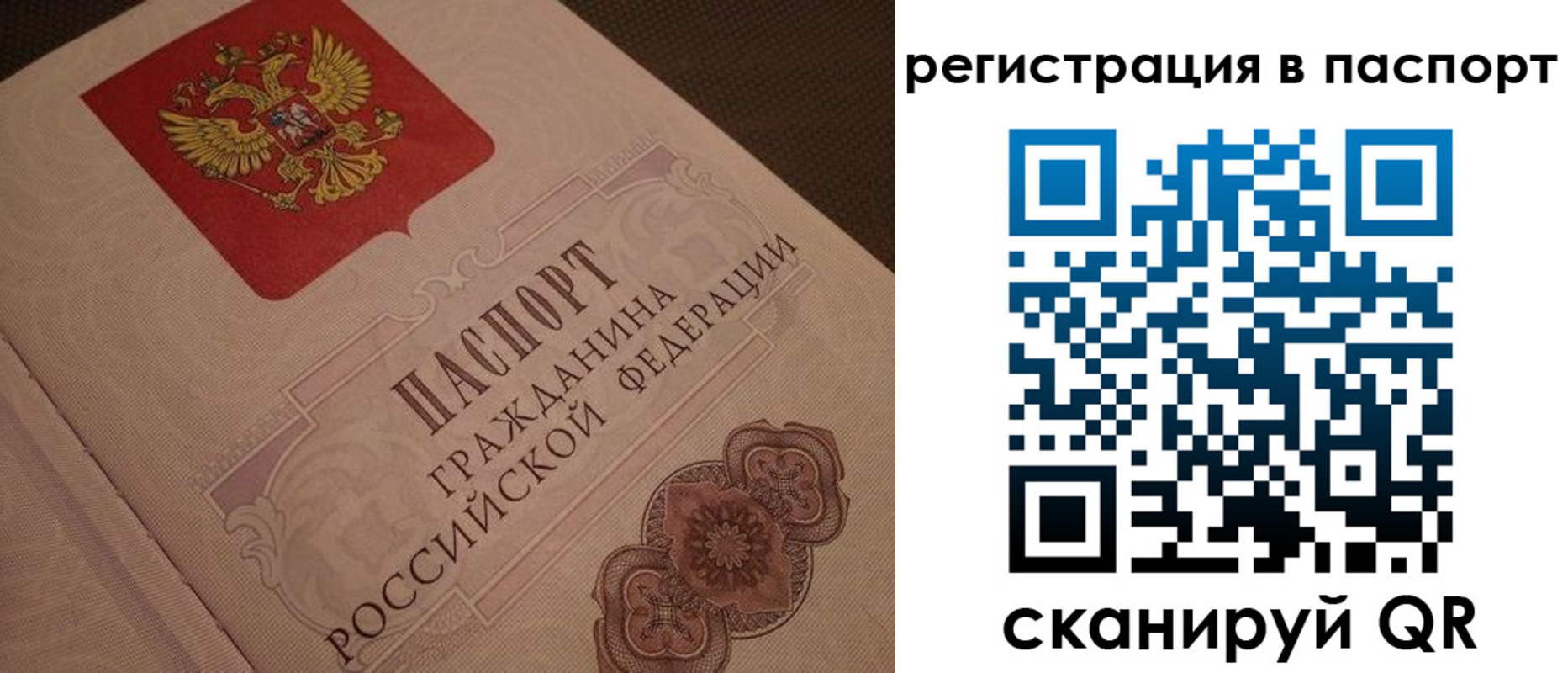 временная регистрация надежно в Светлограде